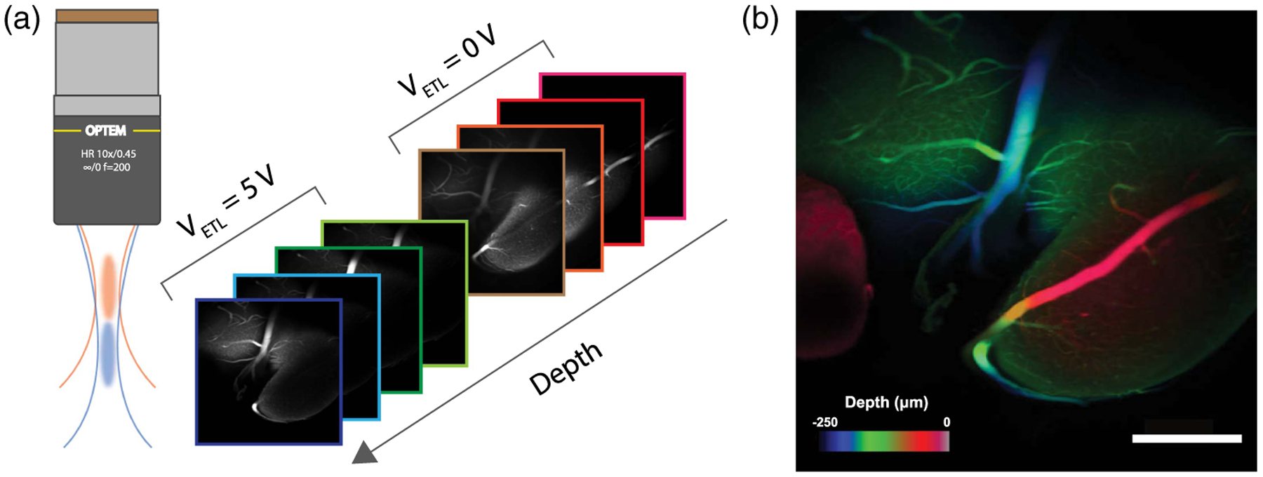 Fig. 4.