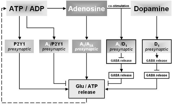 Fig. 3