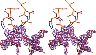 Fig. 2.