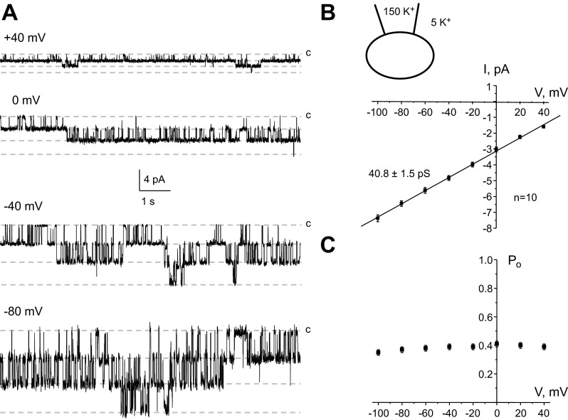 Fig. 3.