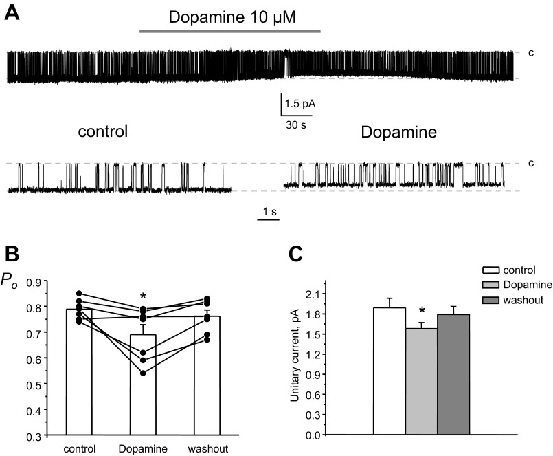 Fig. 6.