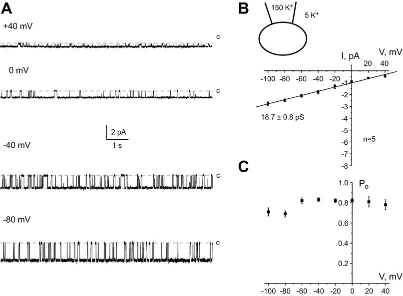 Fig. 4.