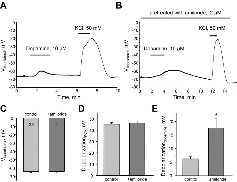 Fig. 10.