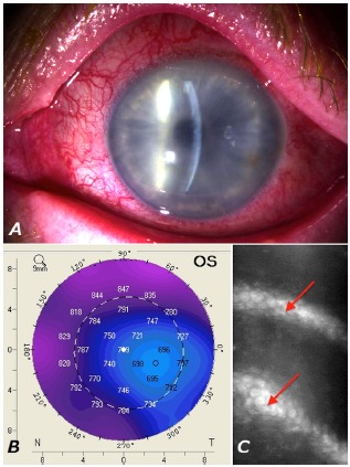 Fig. (2)