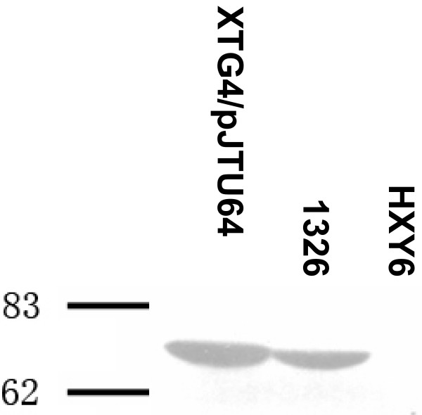 Figure 5