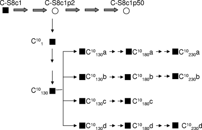 FIG. 1.