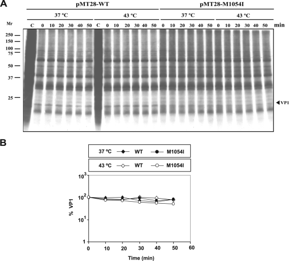 FIG. 6.