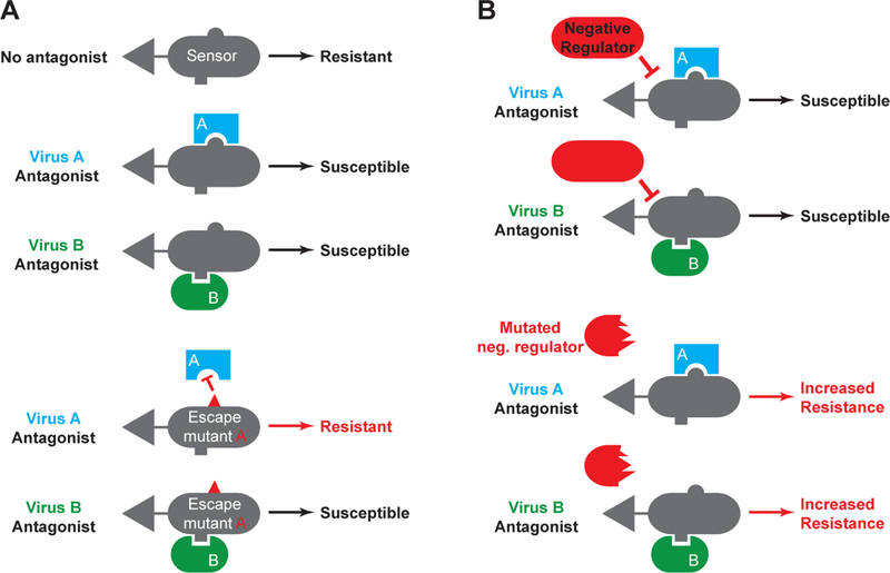 Figure 2: