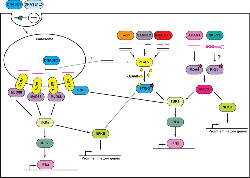 Figure 1: