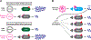 Figure 3: