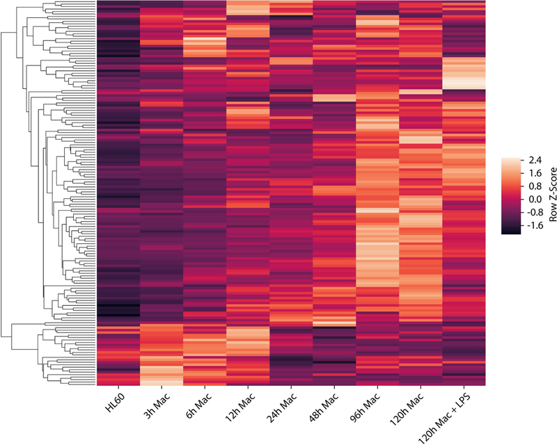 Figure 2: