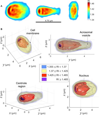 Fig. 2