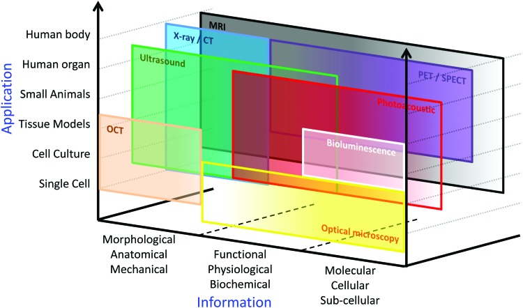 FIG. 2.