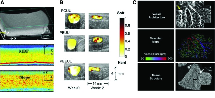 FIG. 6.