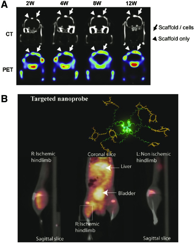 FIG. 4.