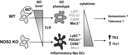 Figure 9.