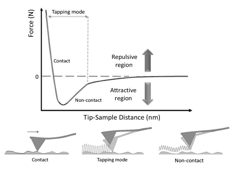 Fig. (6)