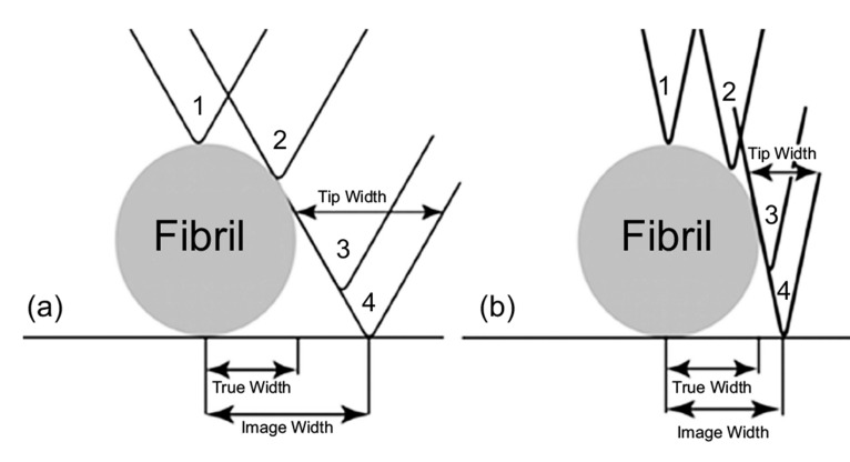 Fig. (7)