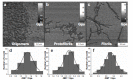 Fig. (16)