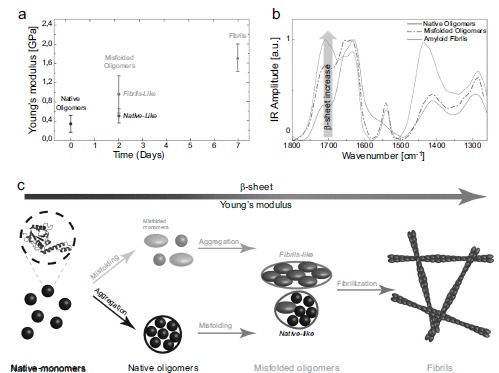 Fig. (19)