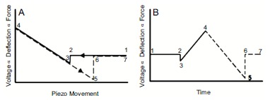 Fig. (12)