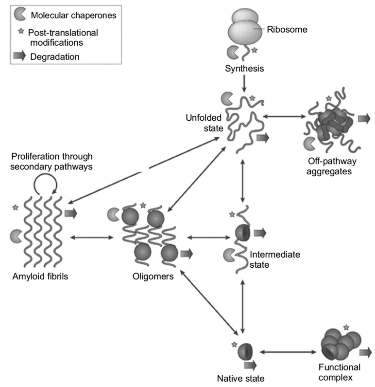 Fig. (3)