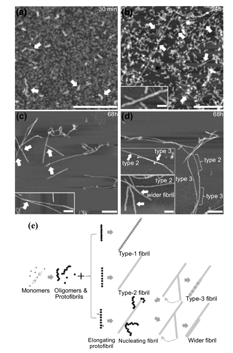 Fig. (11)