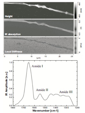 Fig. (18)