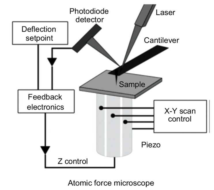 Fig. (5)