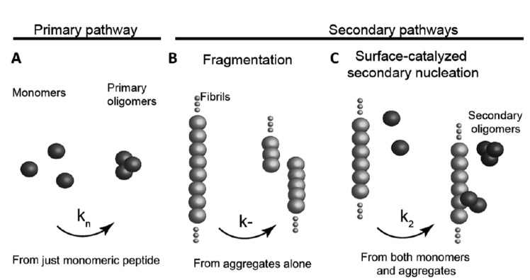 Fig. (2)