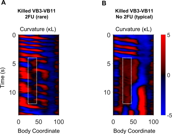 Figure 5—figure supplement 1.