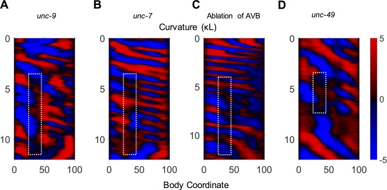 Figure 4—figure supplement 5.