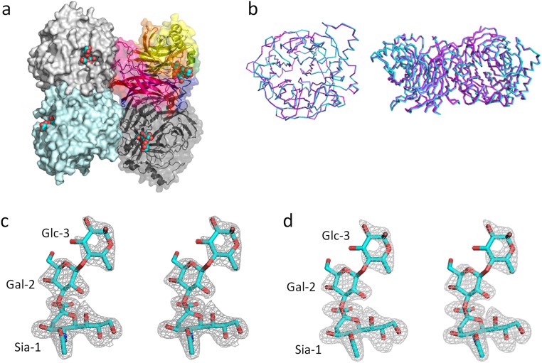 Fig. S1.