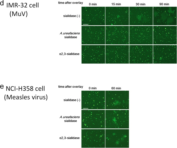 Fig. S5.