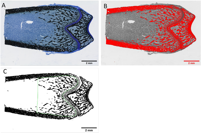 Figure 2: