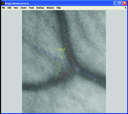 Fig. 7