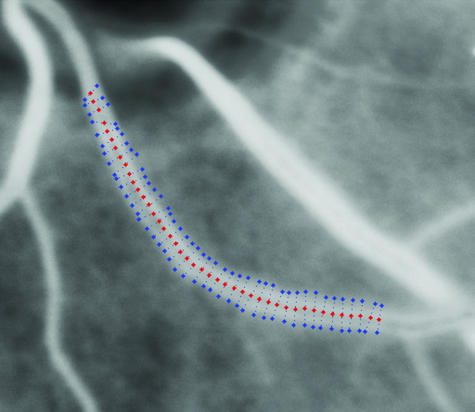 Fig. 8