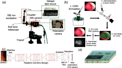 Fig. 1