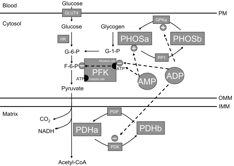 Fig. 1