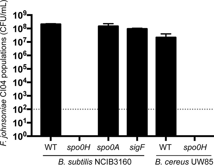 FIG 3