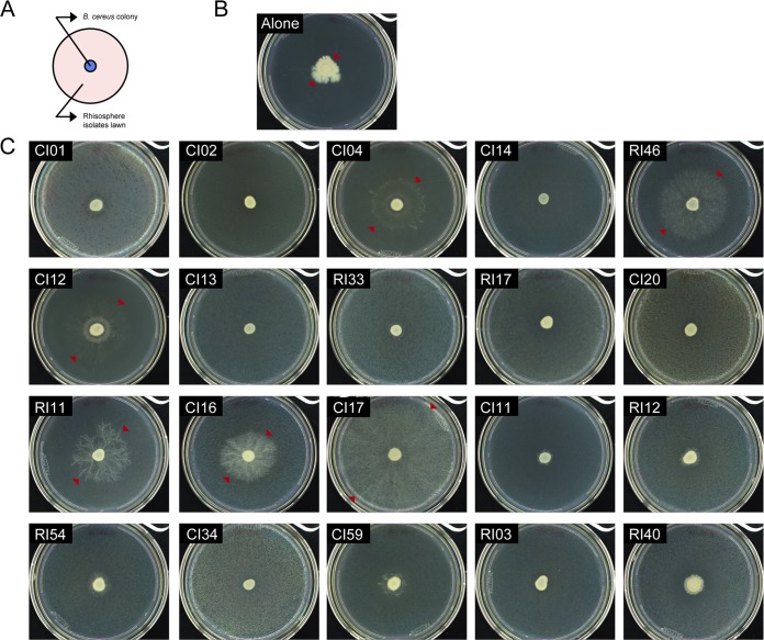 FIG 4