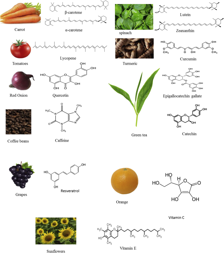 Figure 1