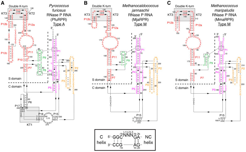 Figure 1.