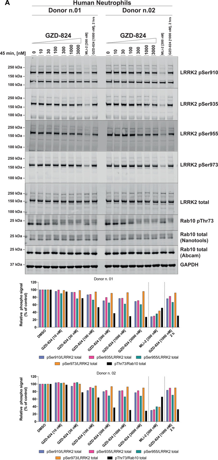 Figure 3.