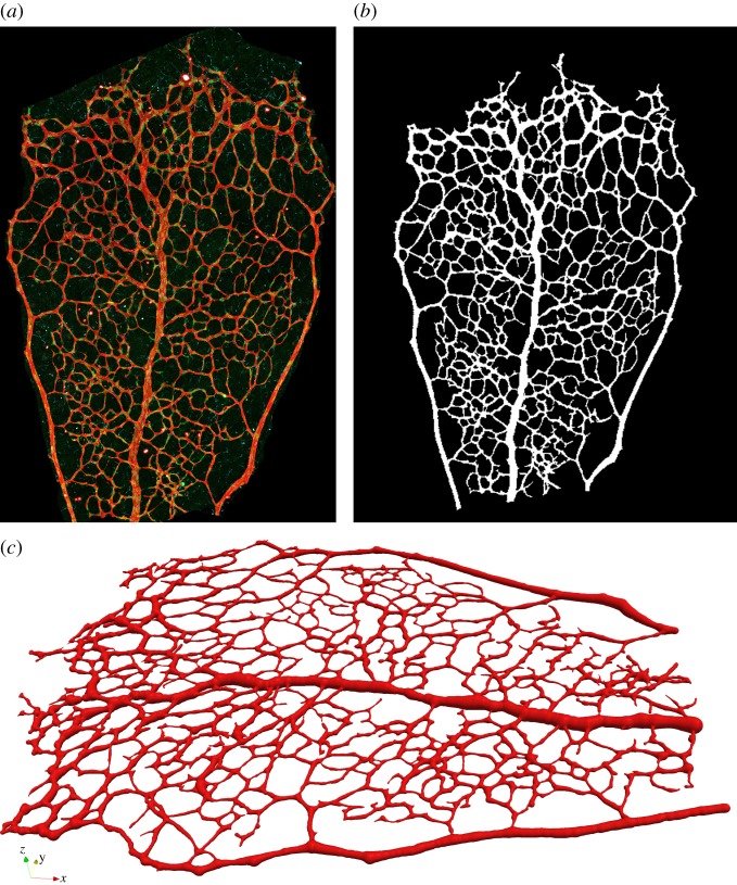 Figure 5.