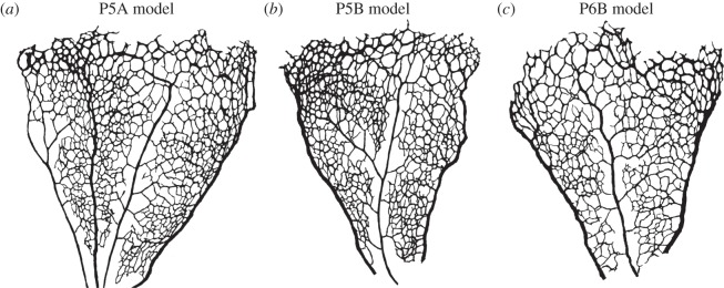 Figure 6.