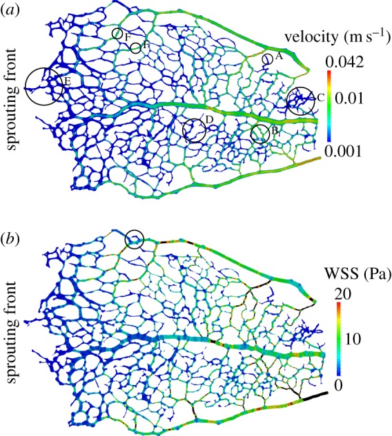 Figure 9.