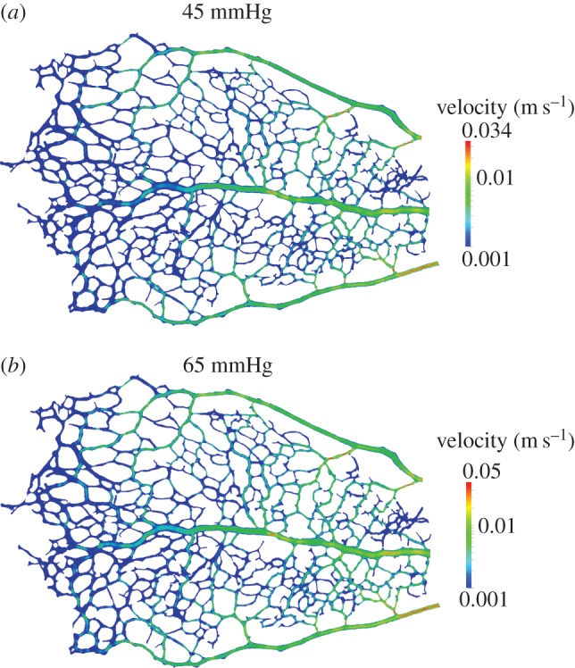 Figure 12.