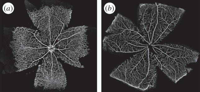 Figure 1.