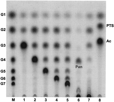 FIG. 6.